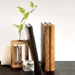 سررسید ترمو بردیا